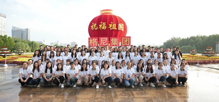 gnee company gnee company