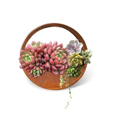 Corten stål hengende plantekasser