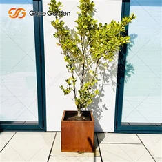 Tilpasning Store Corten Planters Stål Blomsterpotte Store Corten Stål Metall Blomsterpotter