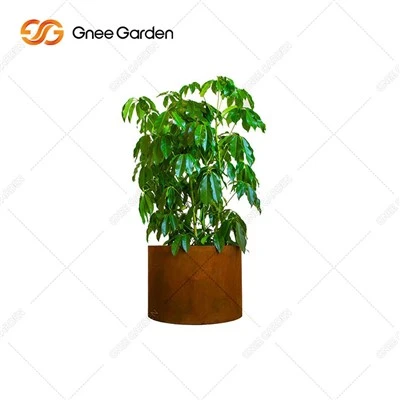 Corten Rusty Finish Planters Outdoors